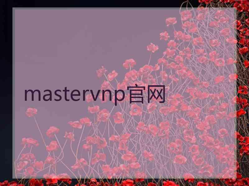 mastervnp官网