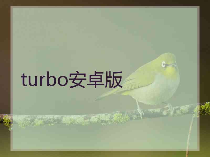 turbo安卓版