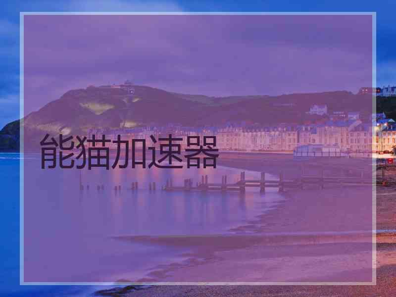 能猫加速器