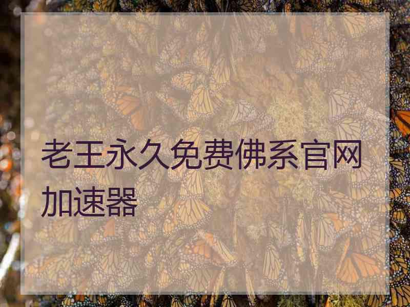 老王永久免费佛系官网加速器