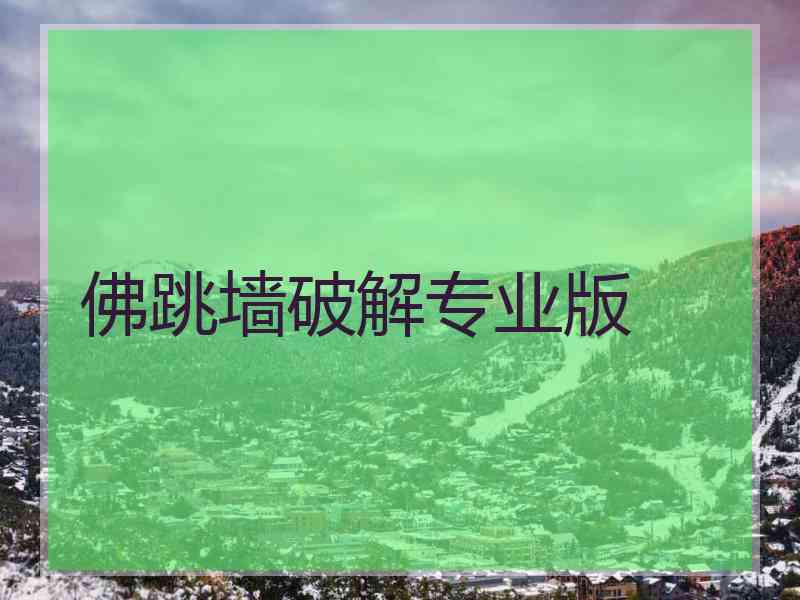 佛跳墙破解专业版