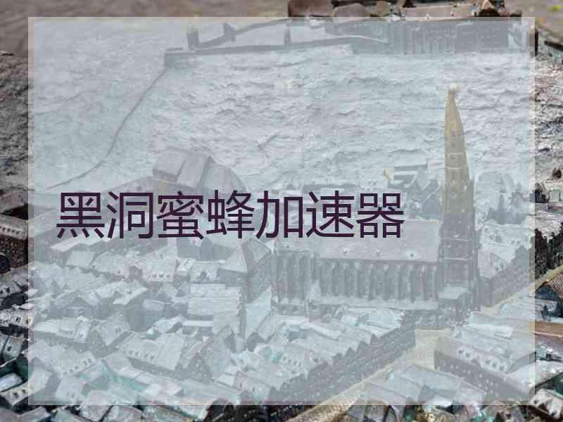 黑洞蜜蜂加速器