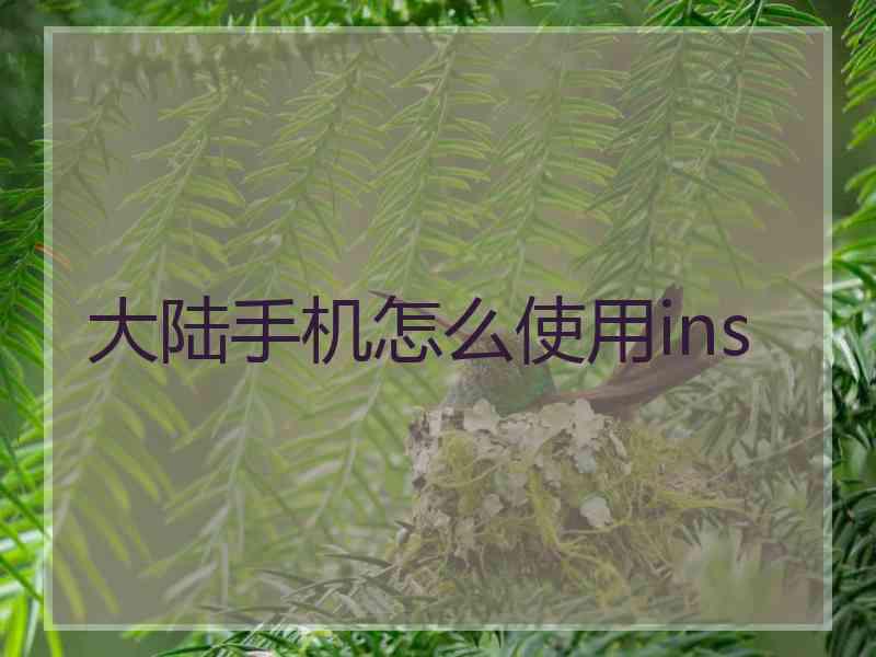 大陆手机怎么使用ins