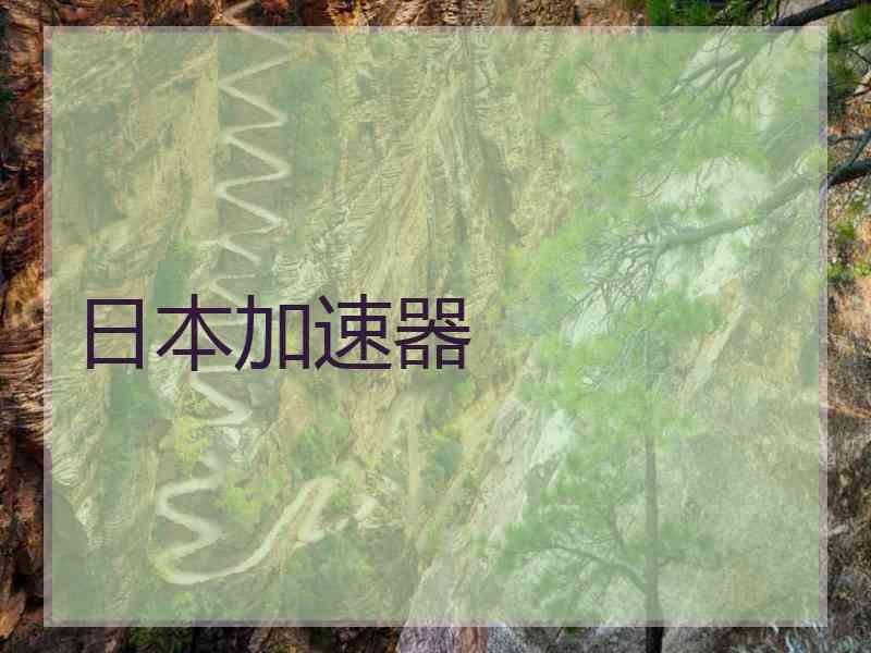 日本加速器