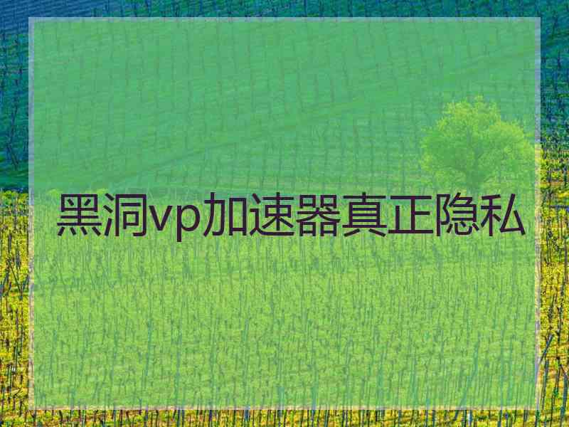 黑洞vp加速器真正隐私