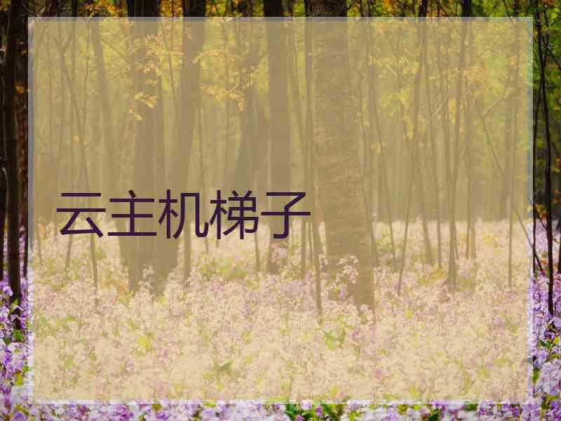 云主机梯子