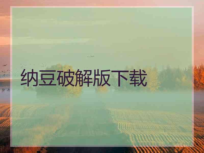 纳豆破解版下载