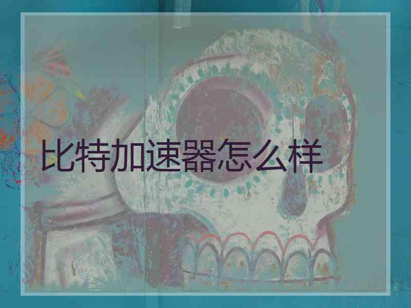 比特加速器怎么样