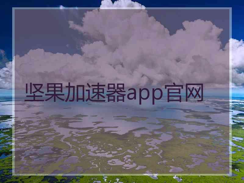 坚果加速器app官网