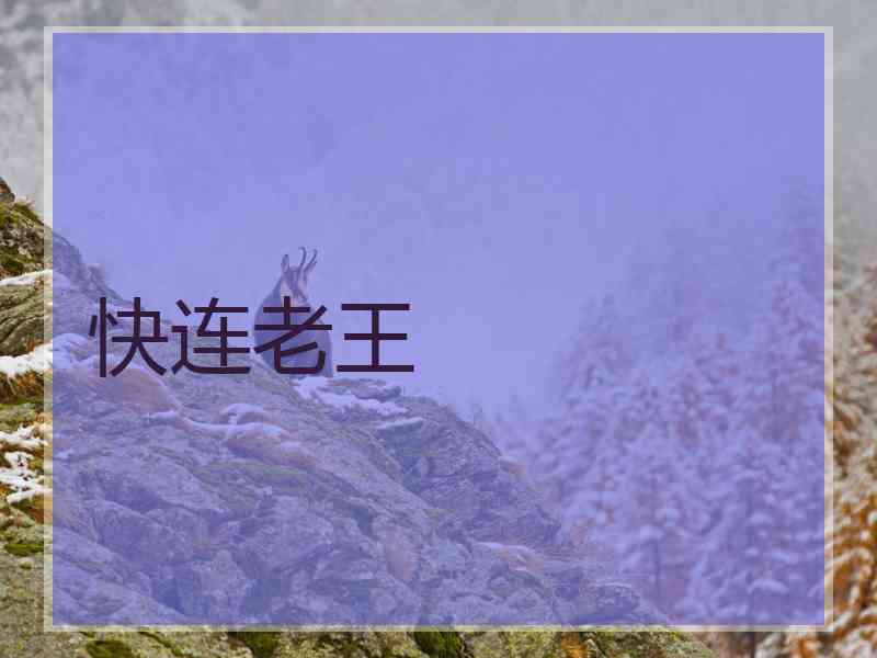 快连老王