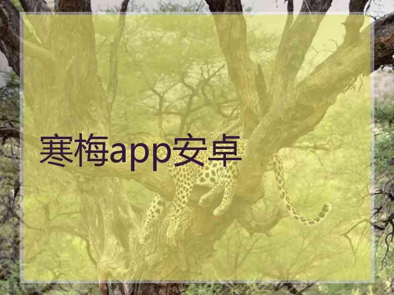 寒梅app安卓