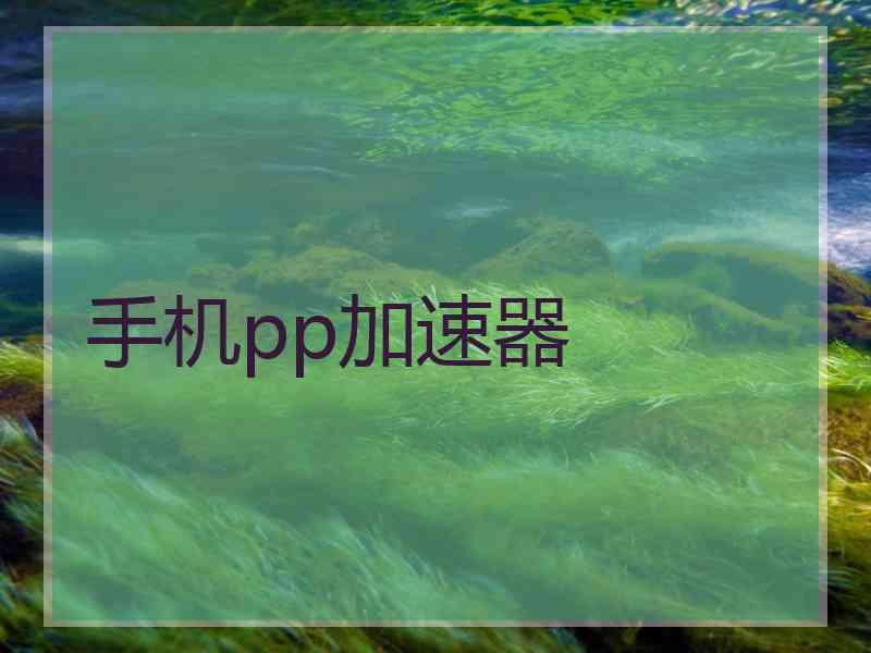 手机pp加速器
