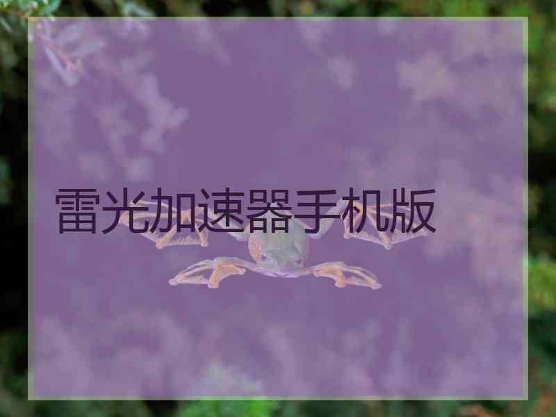 雷光加速器手机版