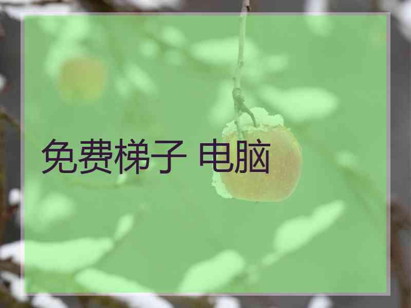 免费梯子 电脑