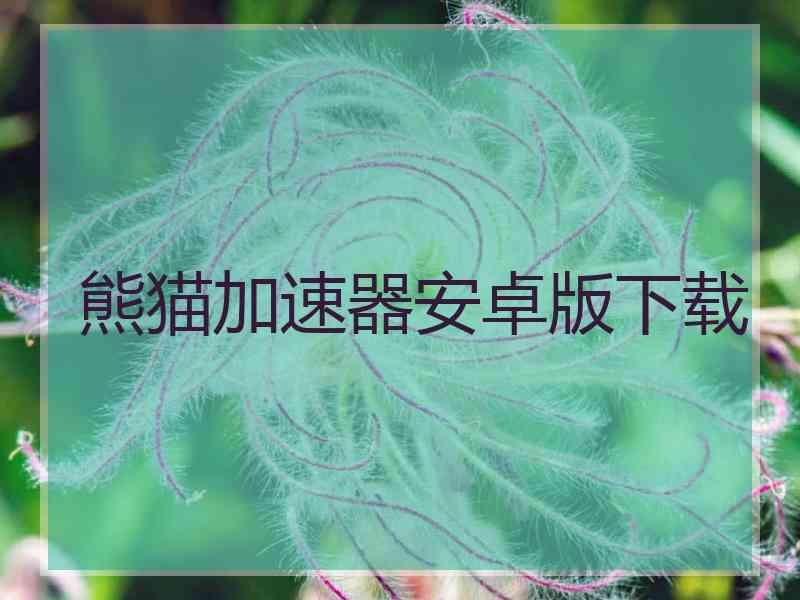 熊猫加速器安卓版下载