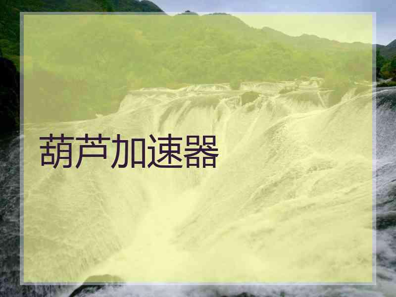 葫芦加速器
