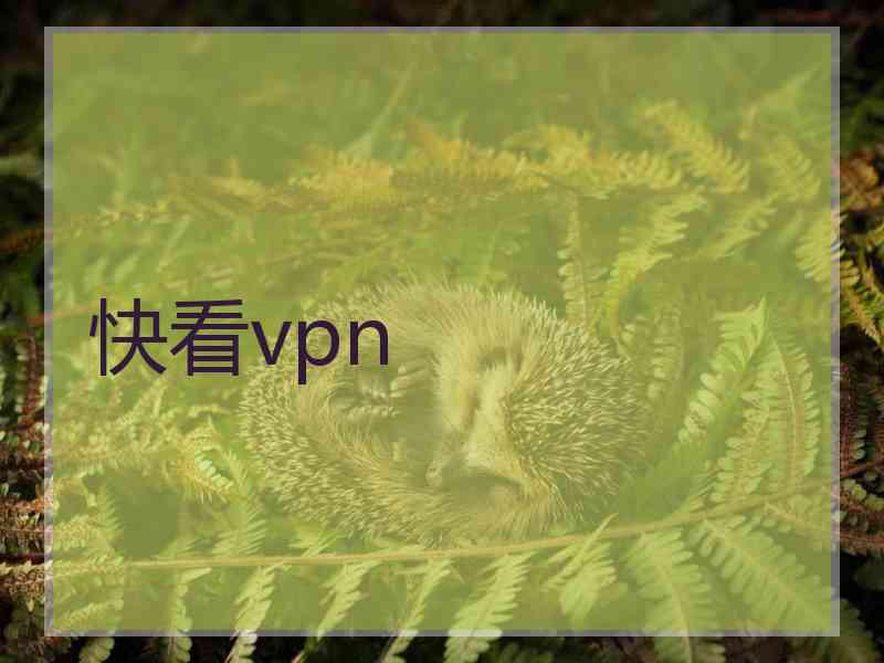 快看vpn