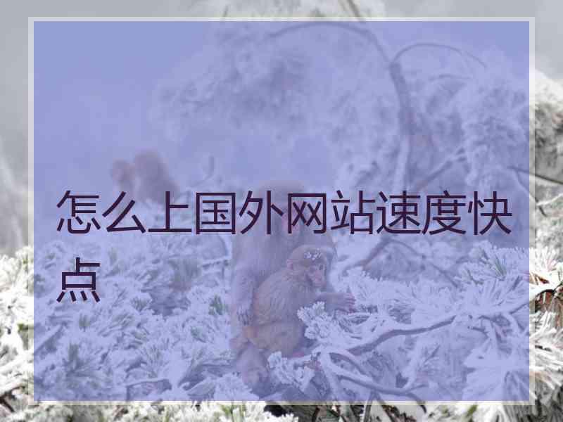 怎么上国外网站速度快点
