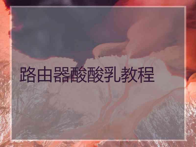 路由器酸酸乳教程