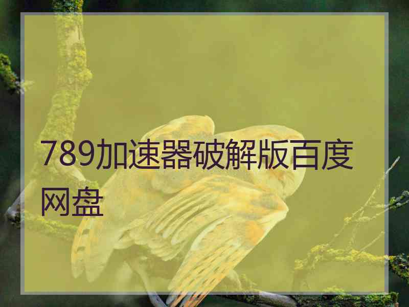 789加速器破解版百度网盘