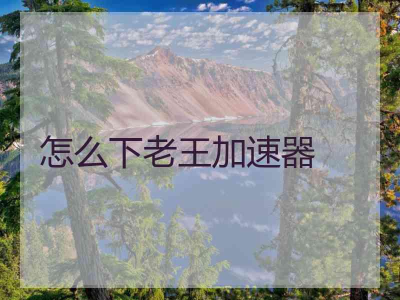 怎么下老王加速器