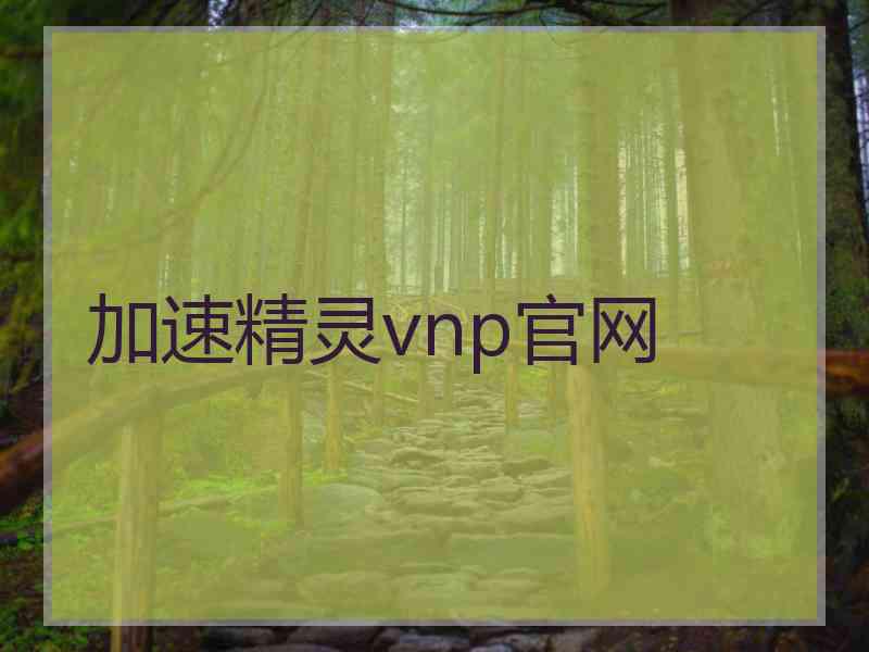 加速精灵vnp官网