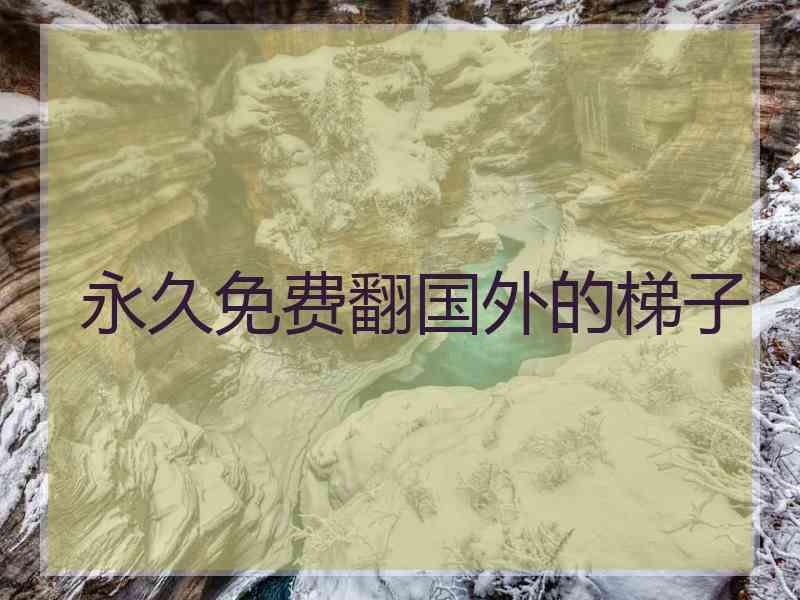 永久免费翻国外的梯子