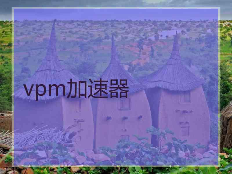 vpm加速器