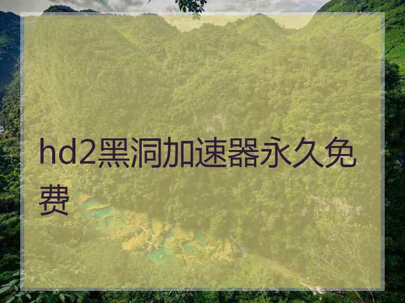 hd2黑洞加速器永久免费