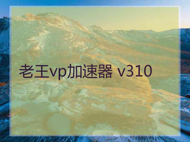 老王vp加速器 v310