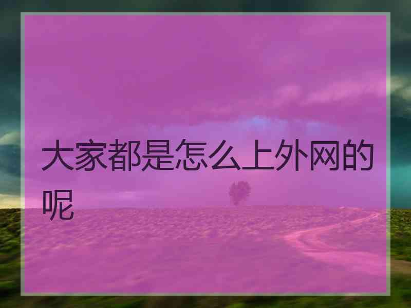 大家都是怎么上外网的呢