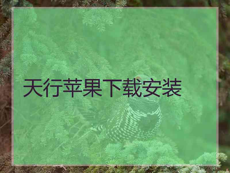 天行苹果下载安装