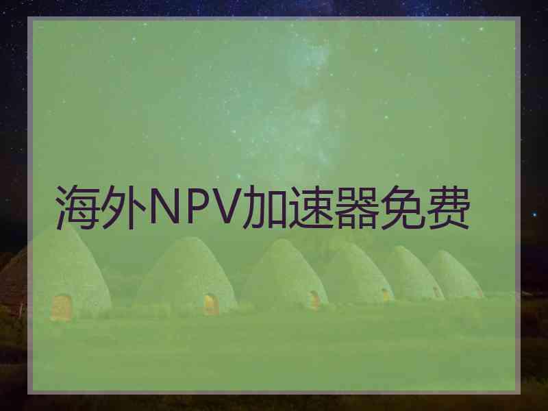 海外NPV加速器免费