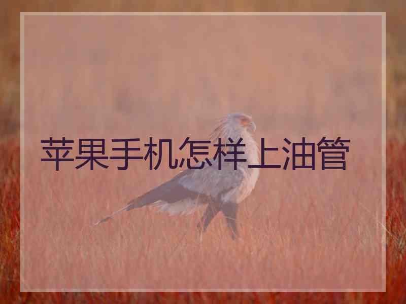 苹果手机怎样上油管