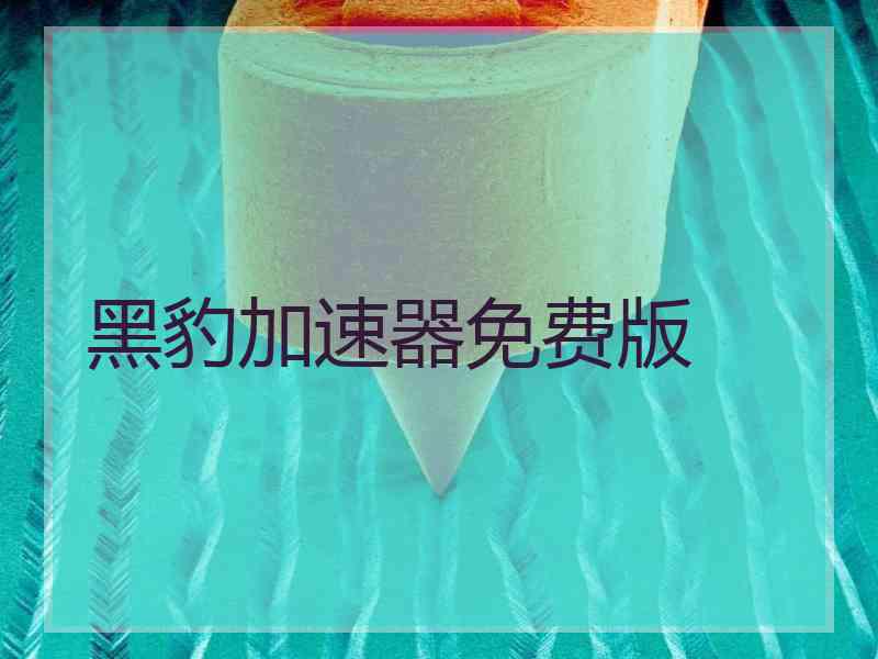 黑豹加速器免费版