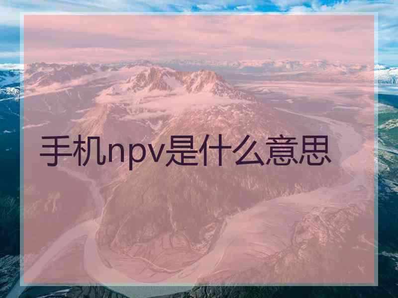 手机npv是什么意思