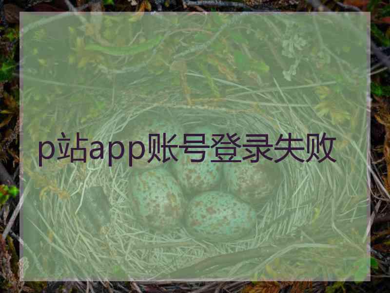 p站app账号登录失败