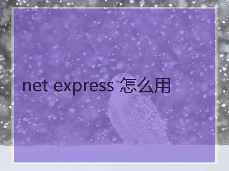 net express 怎么用