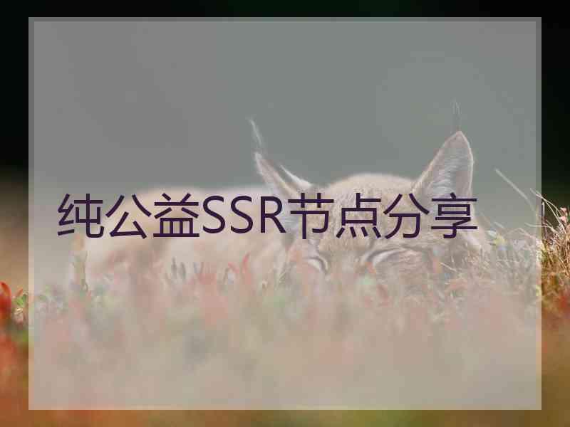 纯公益SSR节点分享