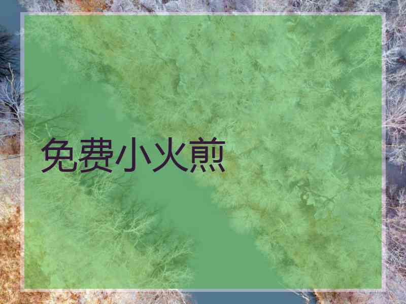 免费小火煎