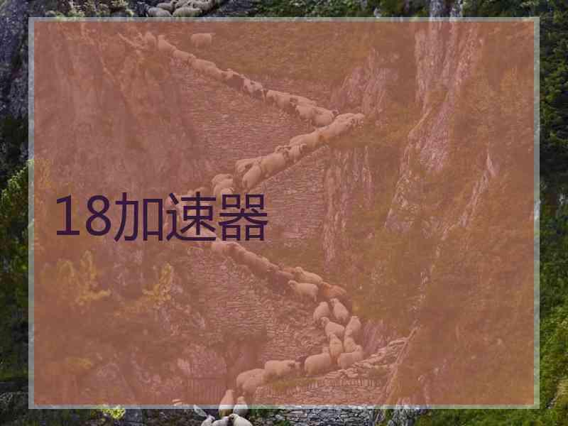 18加速器