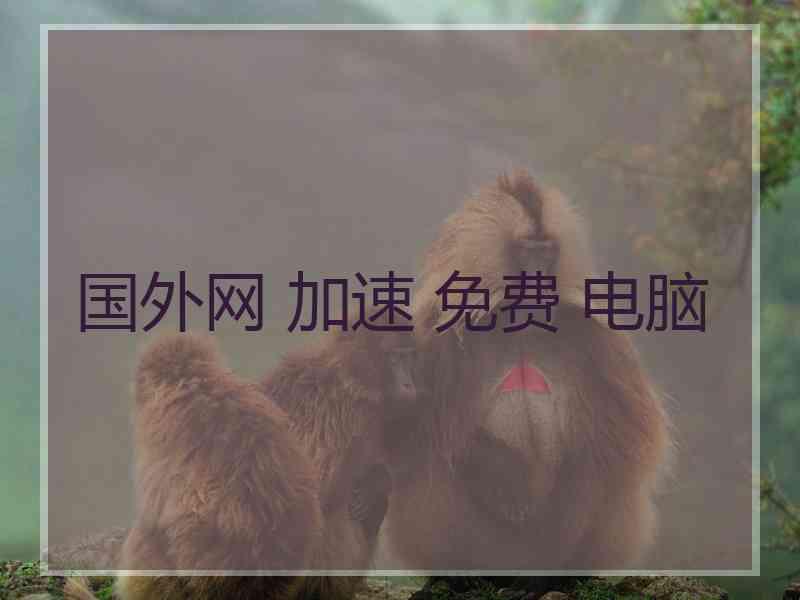 国外网 加速 免费 电脑