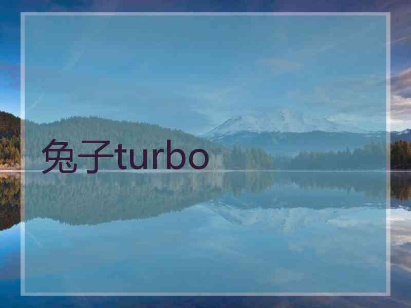兔子turbo