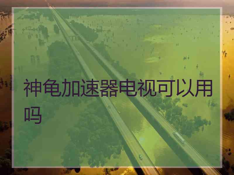 神龟加速器电视可以用吗