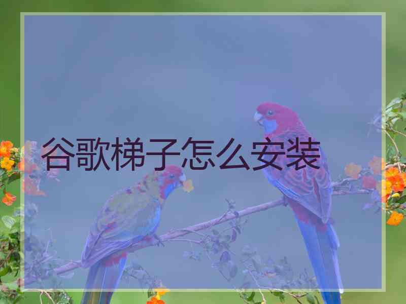 谷歌梯子怎么安装
