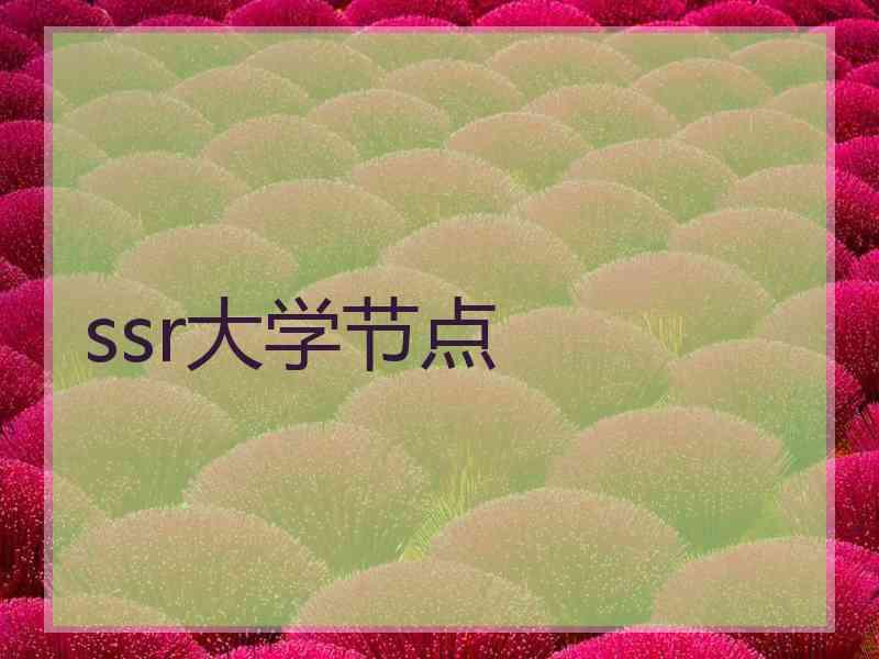 ssr大学节点