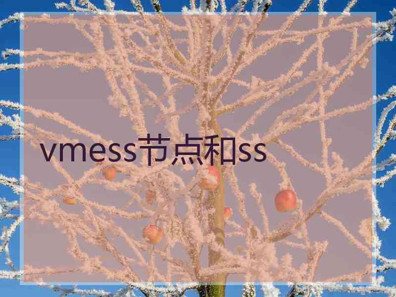 vmess节点和ss
