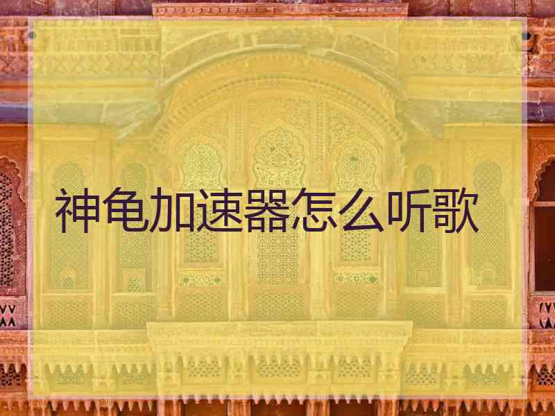 神龟加速器怎么听歌