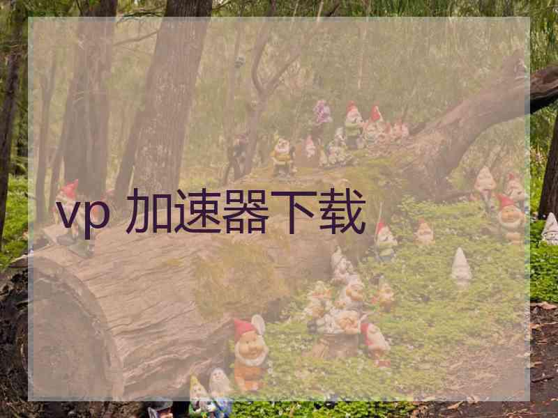 vp 加速器下载