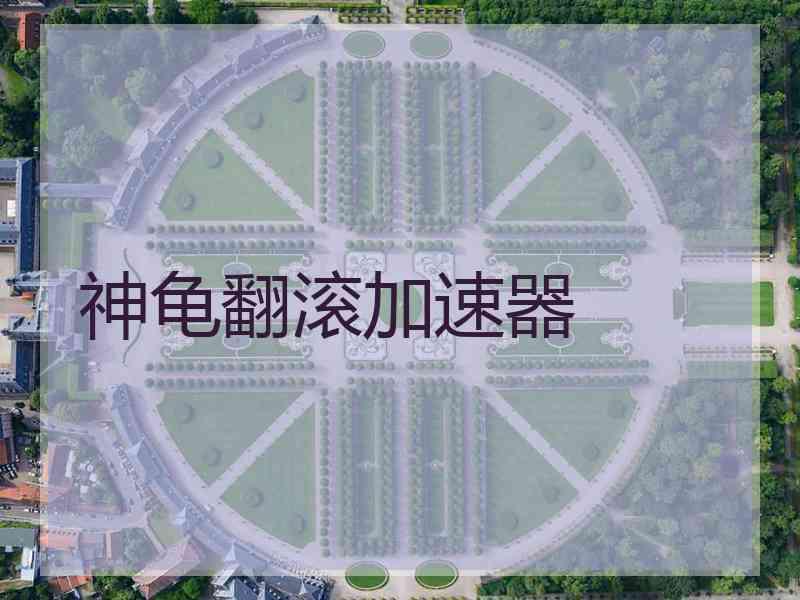 神龟翻滚加速器